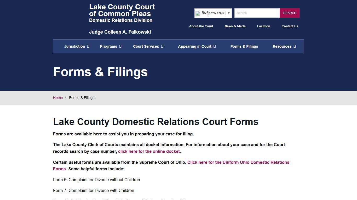 Forms & Filings - Lake County Domestic Relations Court